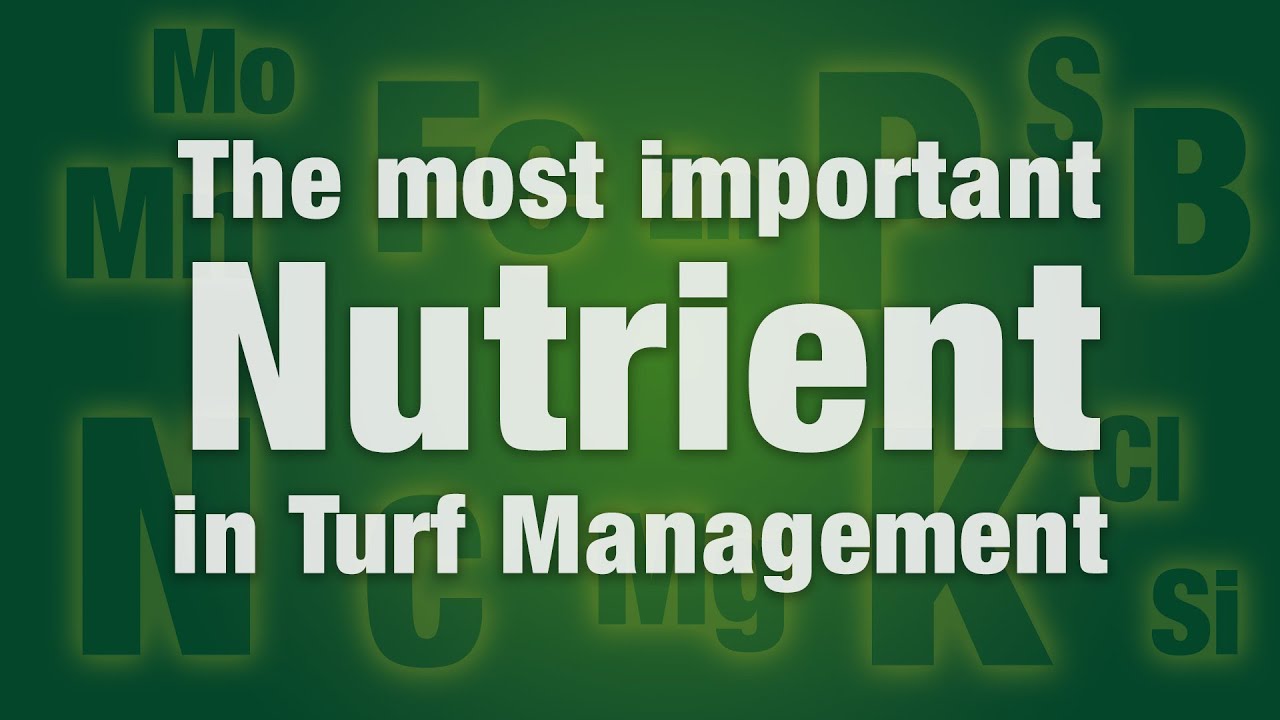 2 Minute Turf Talk - What is the Most Important Nutrient in Turf Management?