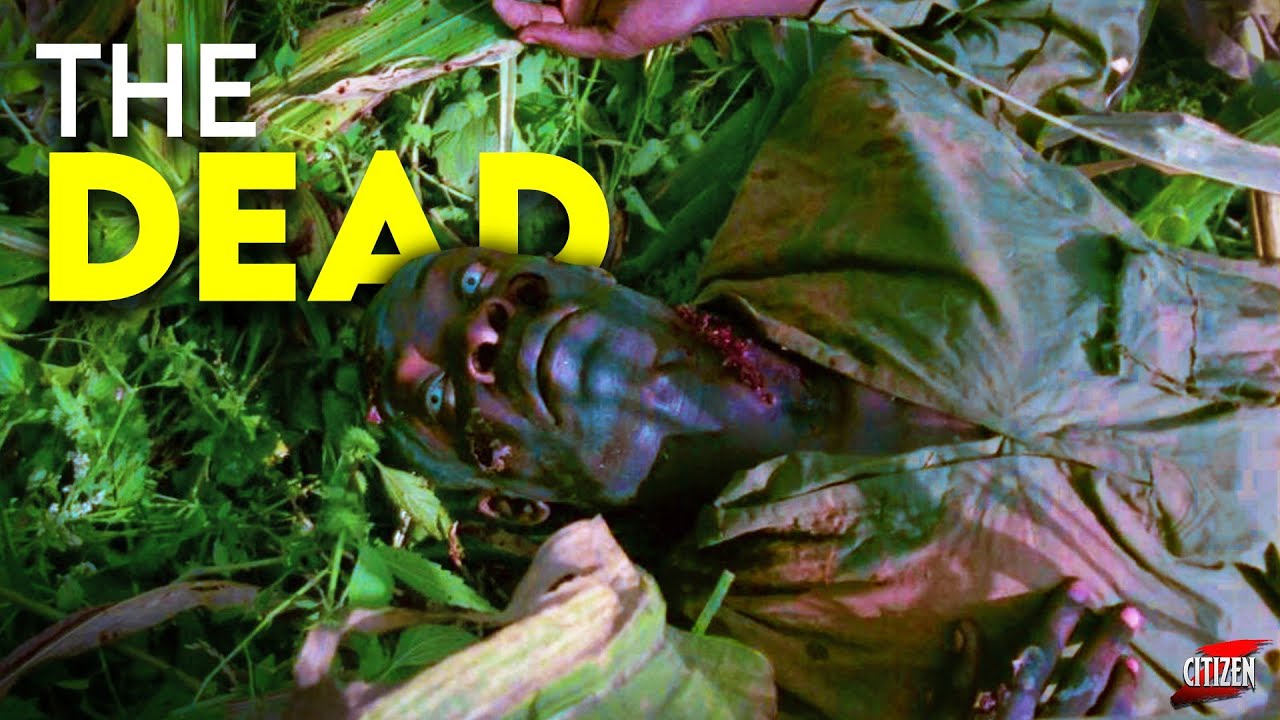 Zombie Outbreak In Africa !! The Dead (2010) Film Breakdown In Hindi + Facts