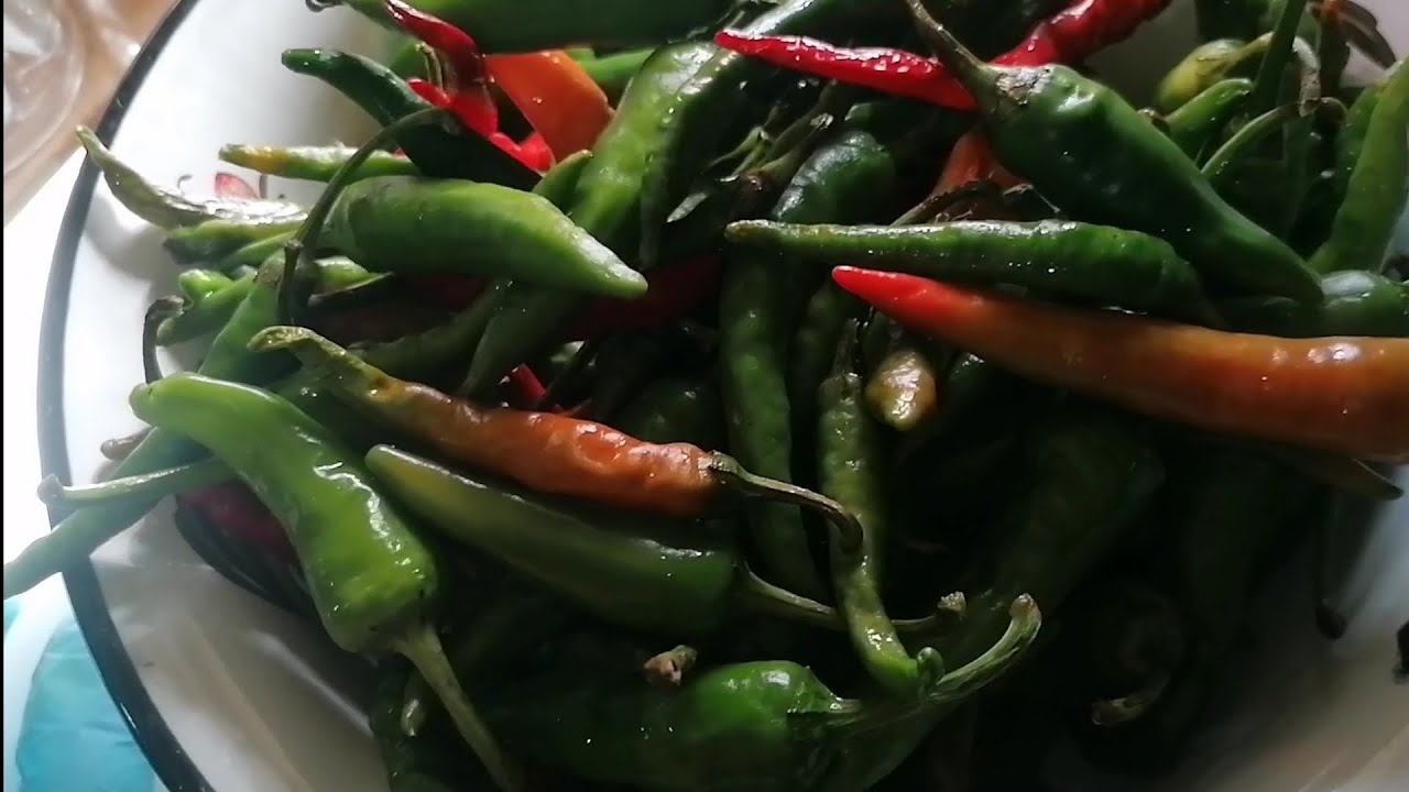 Маринованный острый перец на зиму. Проверенный рецепт 😋