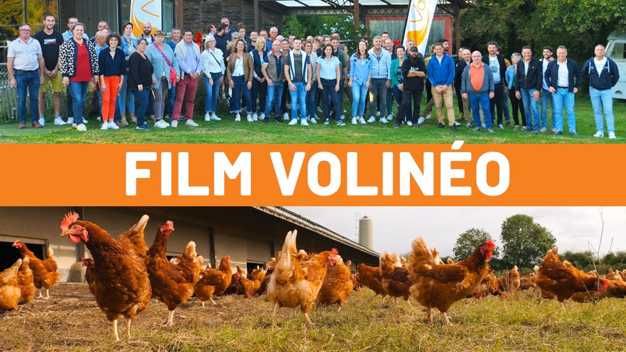 Film Volinéo - Éleveurs de volailles depuis 2016