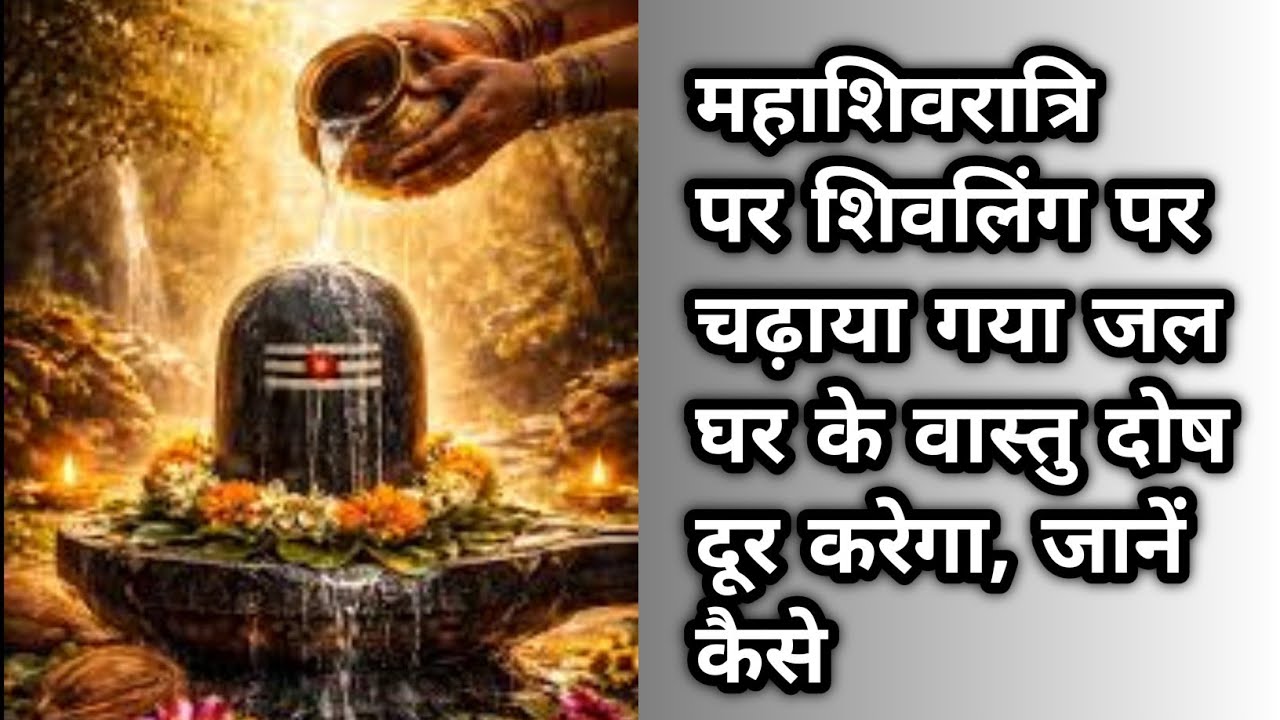 महाशिवरात्रि पर शिवलिंग का जल घर लाकर करें ये उपाय – दूर होंगे वास्तु दोष और आएगी सुख-समृद्धि