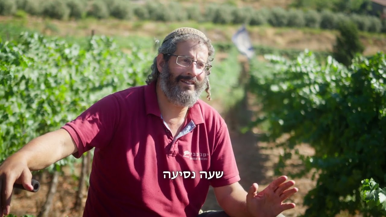 איתמר וייס יקב כביר אלון מורה