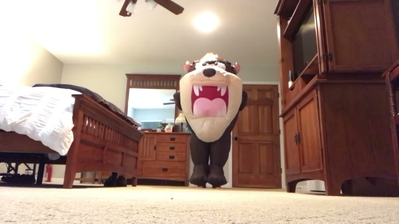 Fun in my inflatable Taz costume!