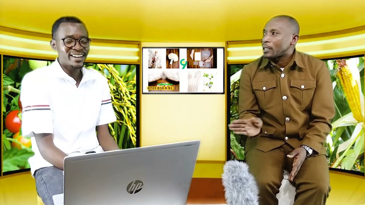 Amabanga yo Guhindura Uruhu rw’Inka Ibintu Byinjiza Amafaranga Menshi