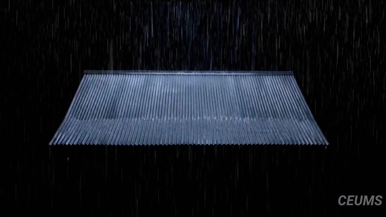 ASMR Heavy Rain on Metal Roof at Night 🌧️ | No Ads