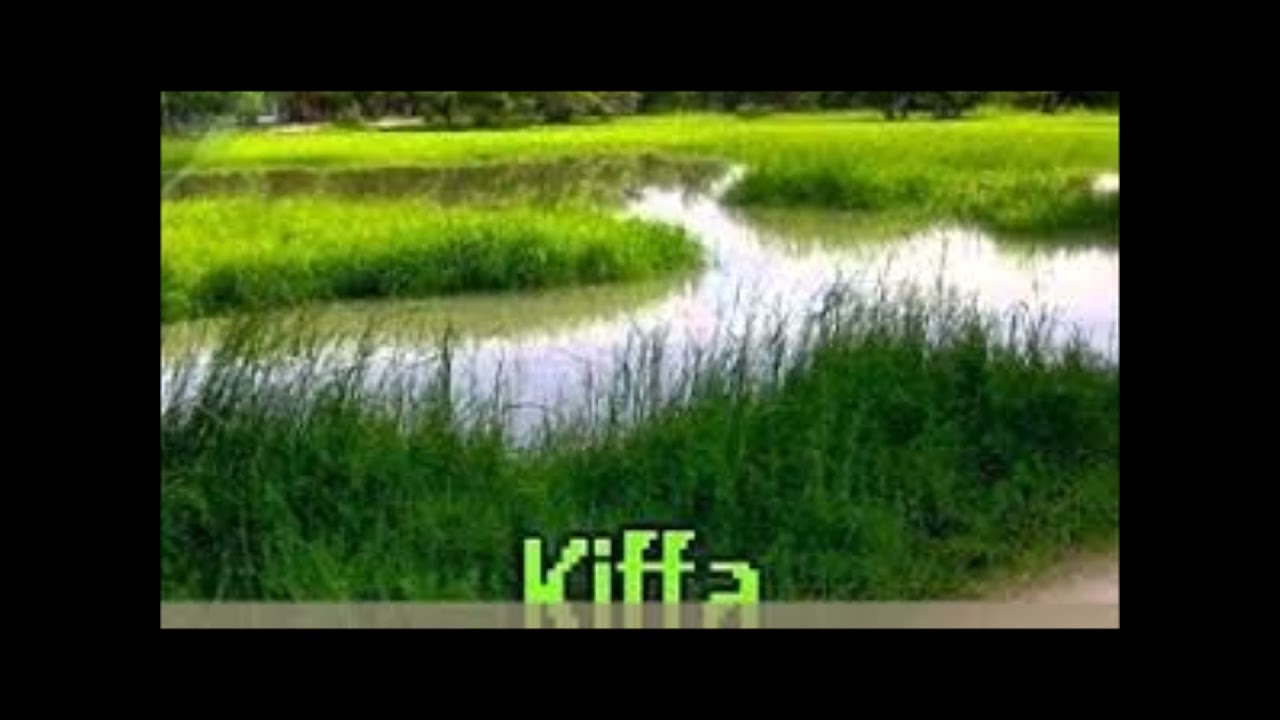 شور باقزيه اعويليون وأهل أشرم