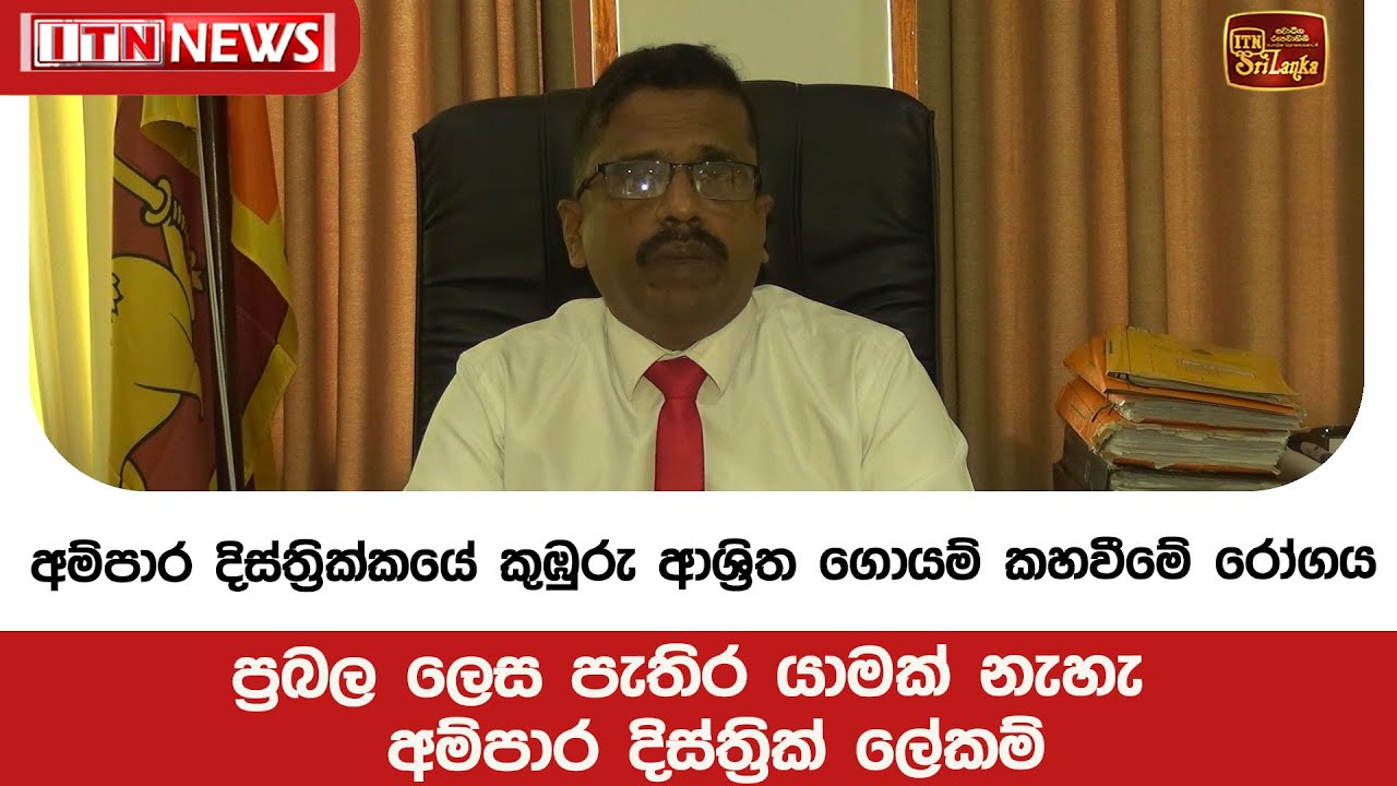 අම්පාර දිස්ත්‍රික්කයේ කුඹුරු ආශ්‍රිත ගොයම් කහවීමේ රෝගය ප්‍රබල ලෙස පැතිර යාමක් නැහැ