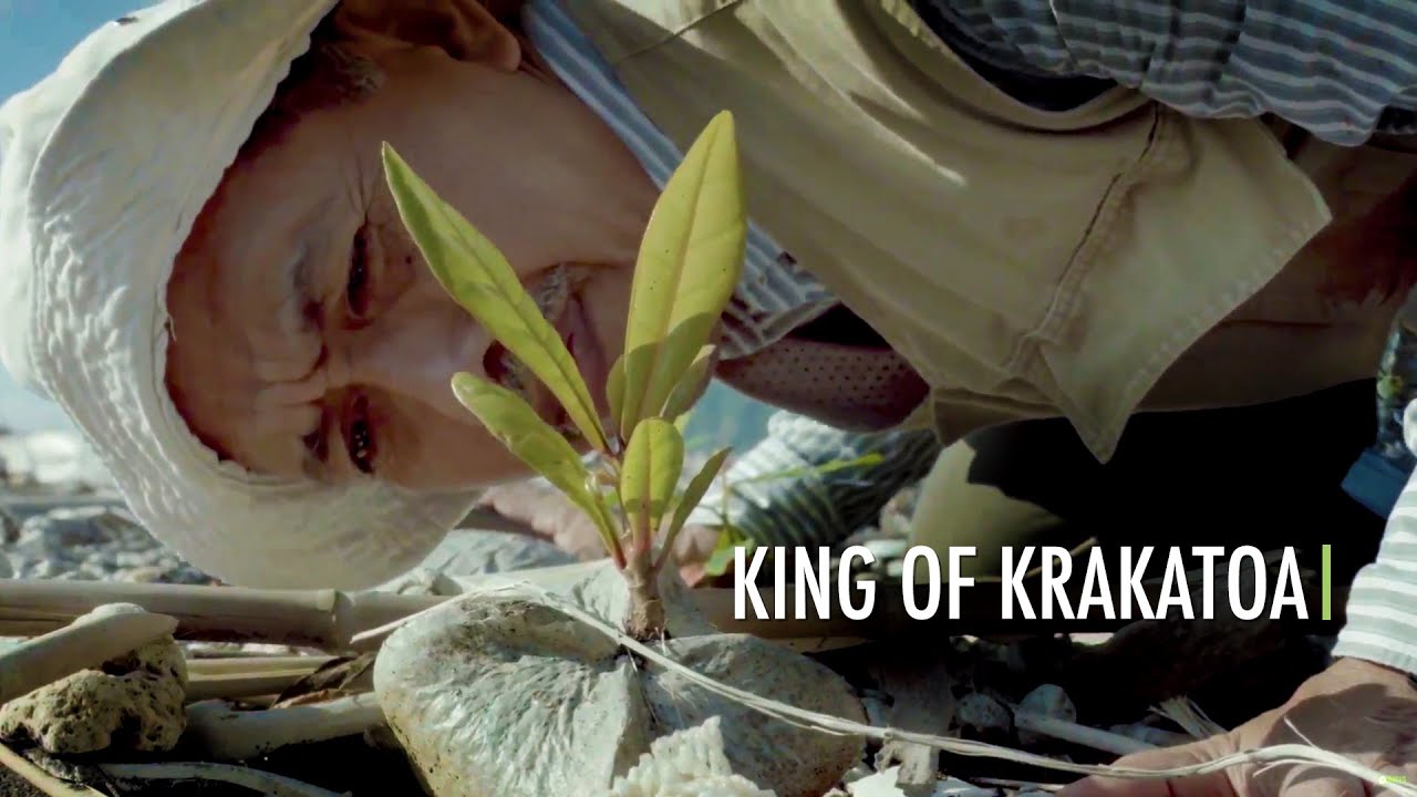 King Of Krakatoa