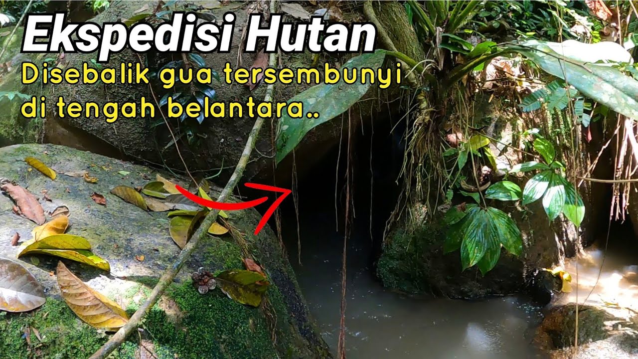 Disebalik Gua tersembunyi di tengah belantara | Ekspedisi Hutan.