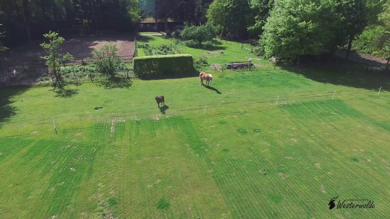 Landgoed Westerwolde