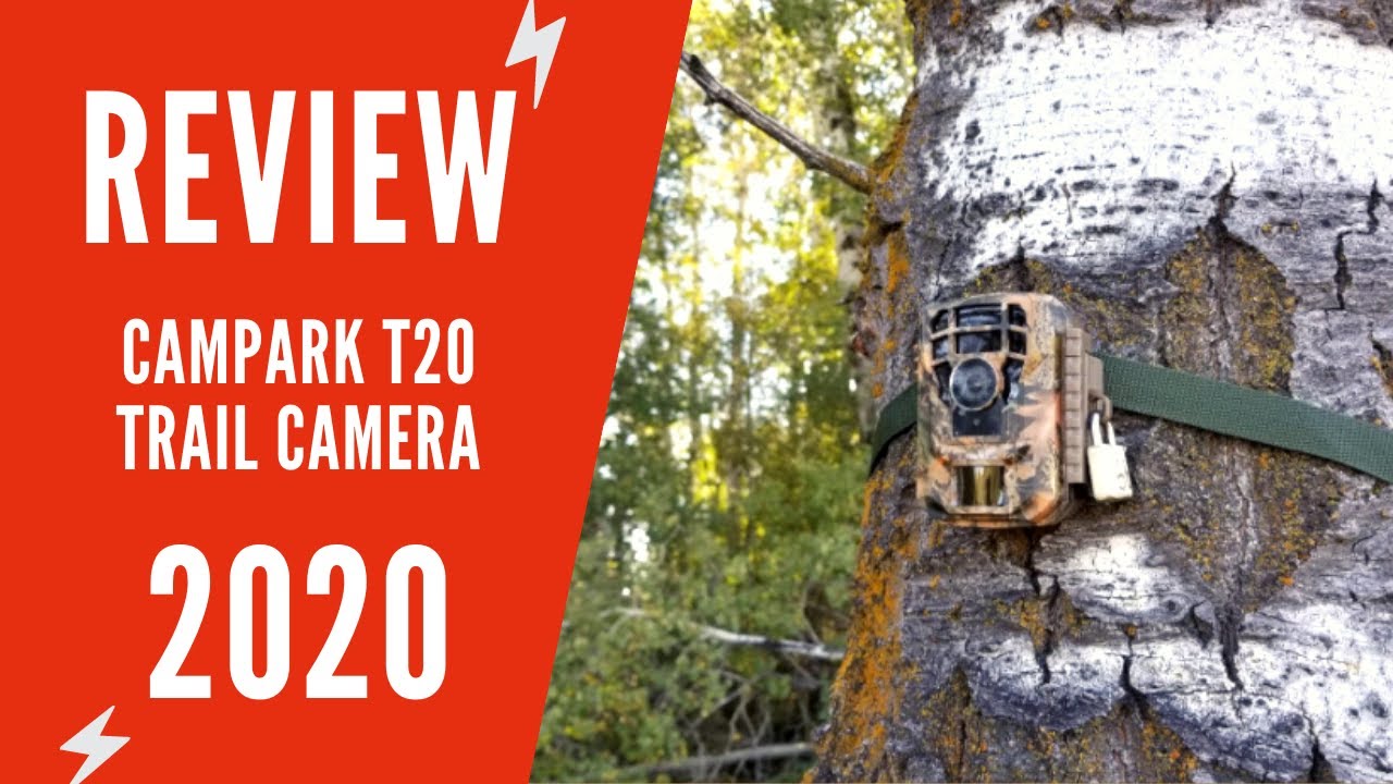 Campark T20 Trail Camera Test | Campark Trail Camera Test | Campark Mini Trail Camera 16MP 1080P