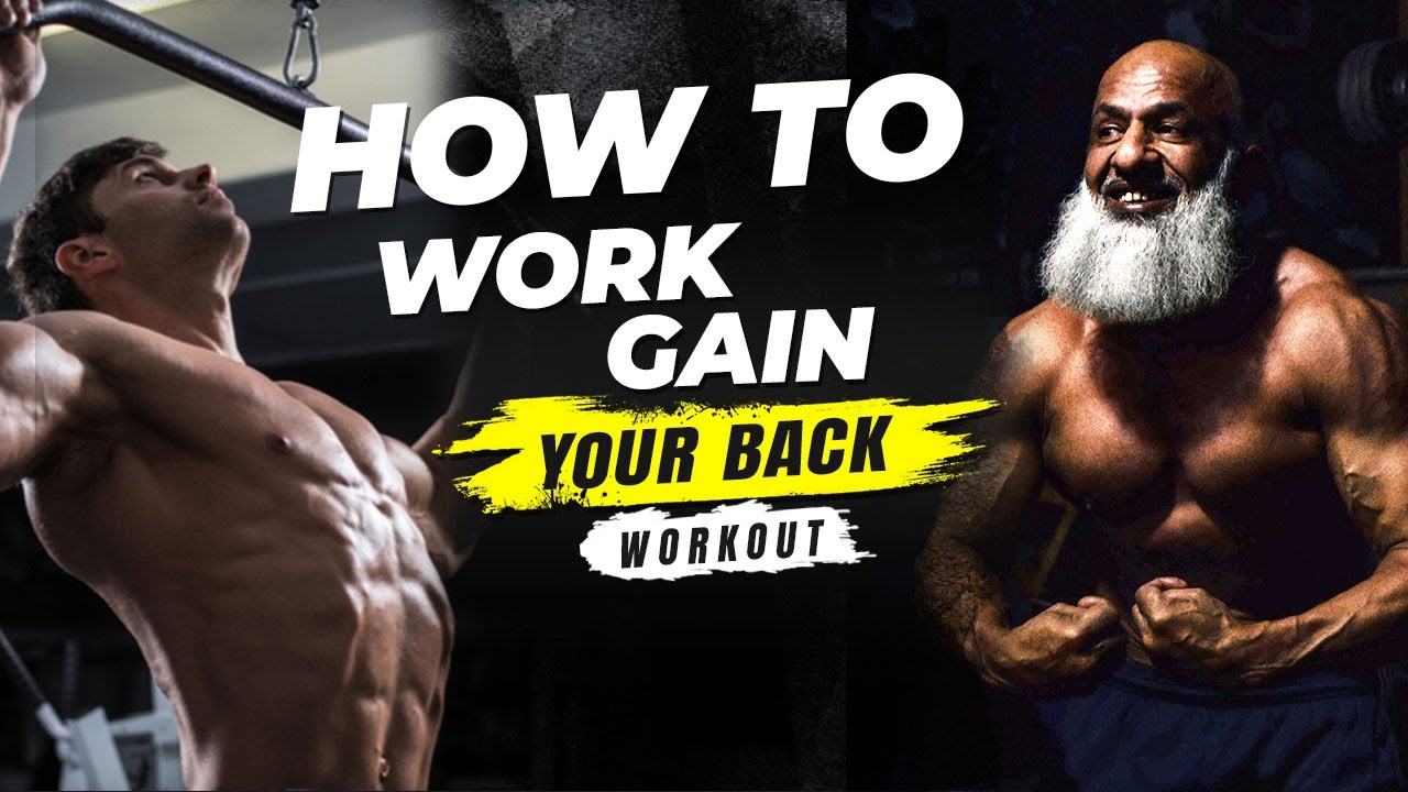 How To Work And Gain Your Back Workout  |Abdul Waheed|