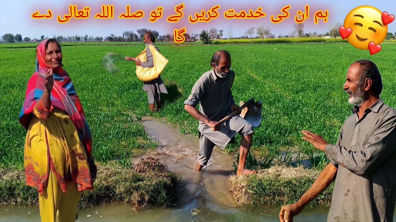 If you serve, Allah will reward you.🕊️|| Bilal village life ☺️🍃