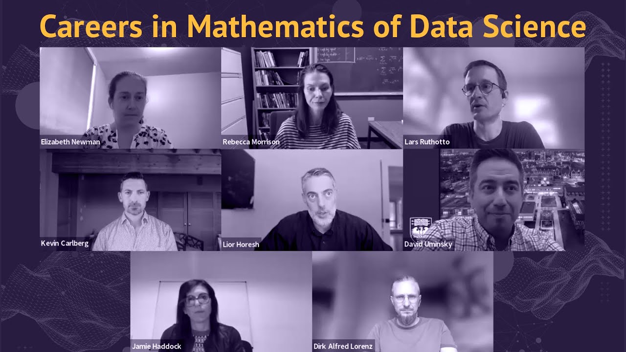 Panel: Careers in Mathematics of Data Science