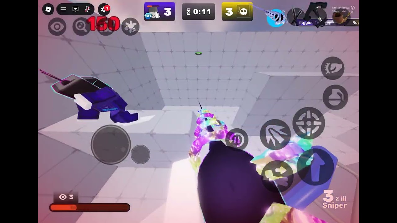 Ggs ruptic