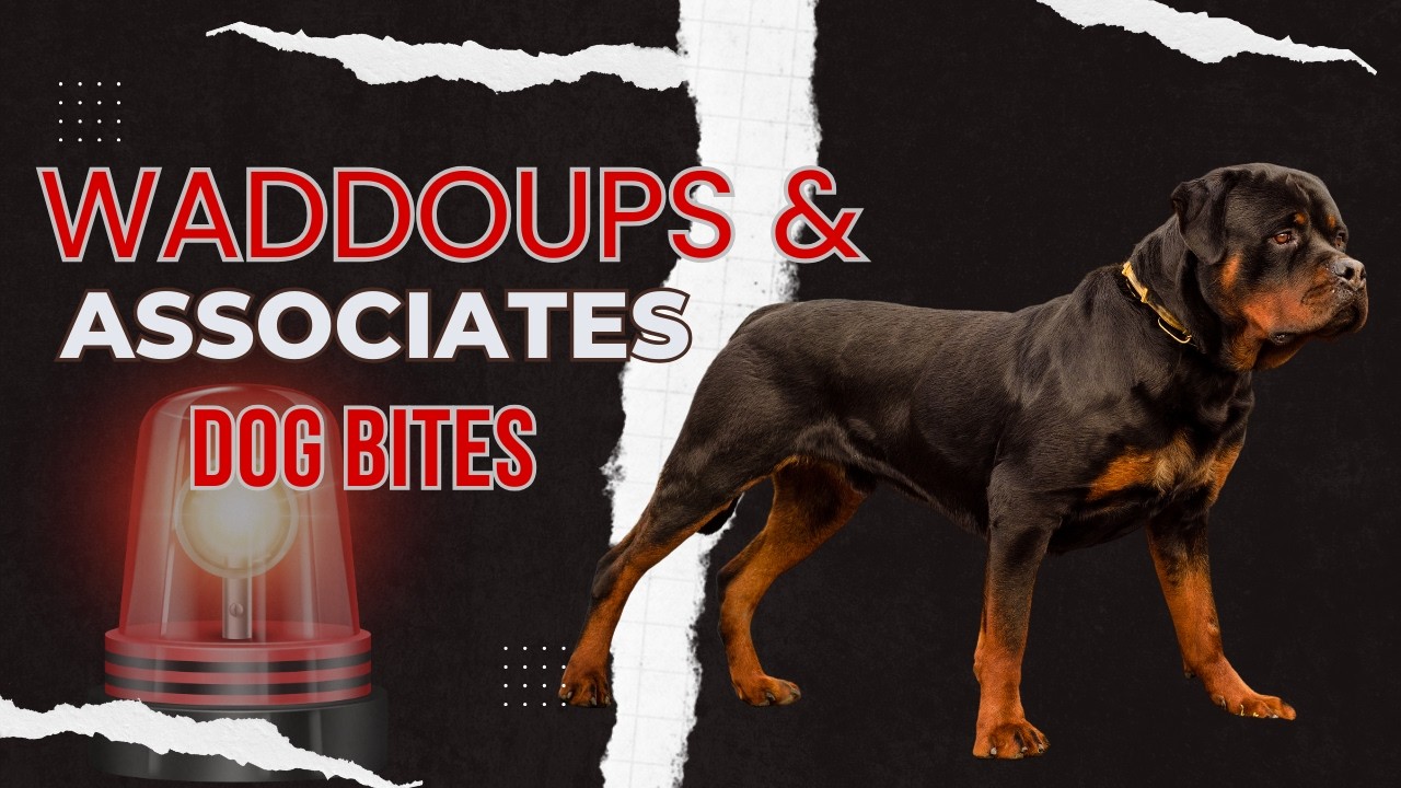 Waddoups Law: Your Dog Bite Attorney