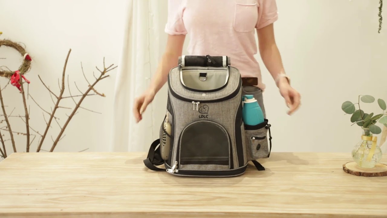 How to make your small pets travel together with hands free? LDLC pet backpack carrier.