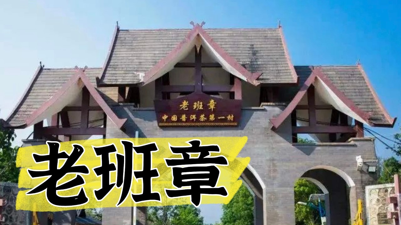 關於老班章   五分鐘了解班章茶區  #老班章 #普洱茶 #班章