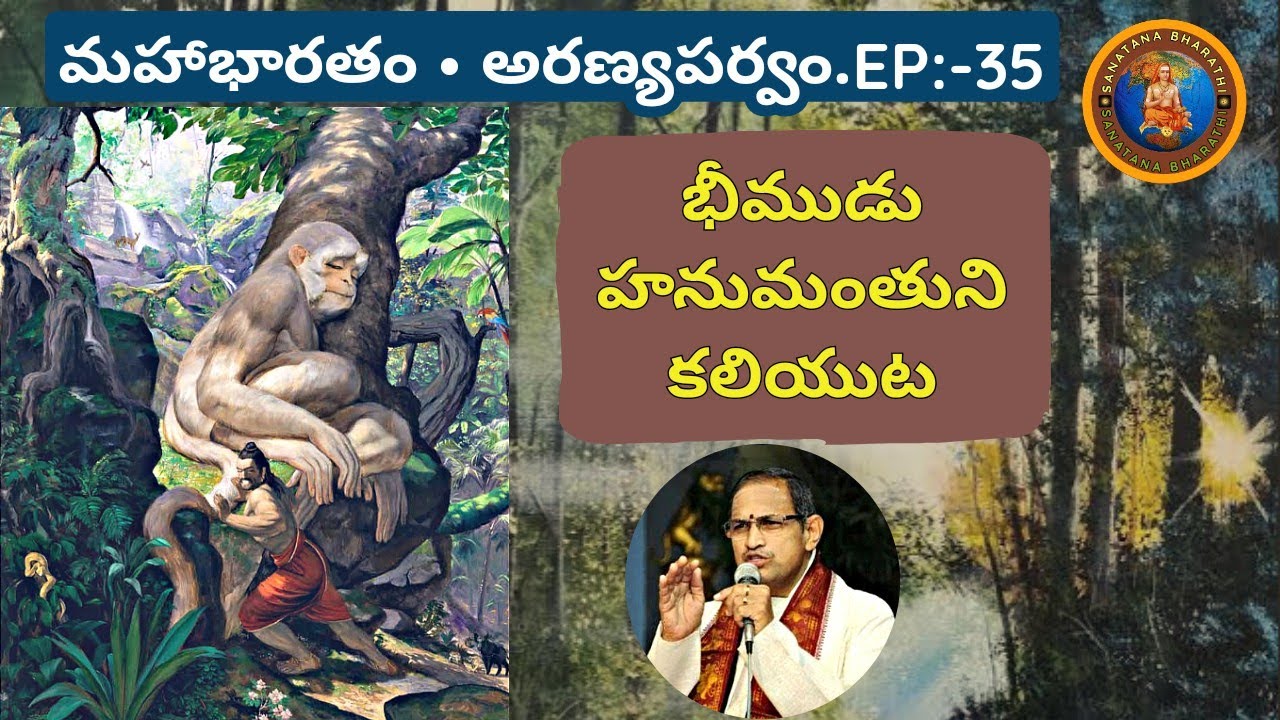 అరణ్యపర్వం 35 • భీముడు హనుమంతుని కలుసుకొనుట • Bheema and Hanuman meets • Chaganti • Mahabharatham