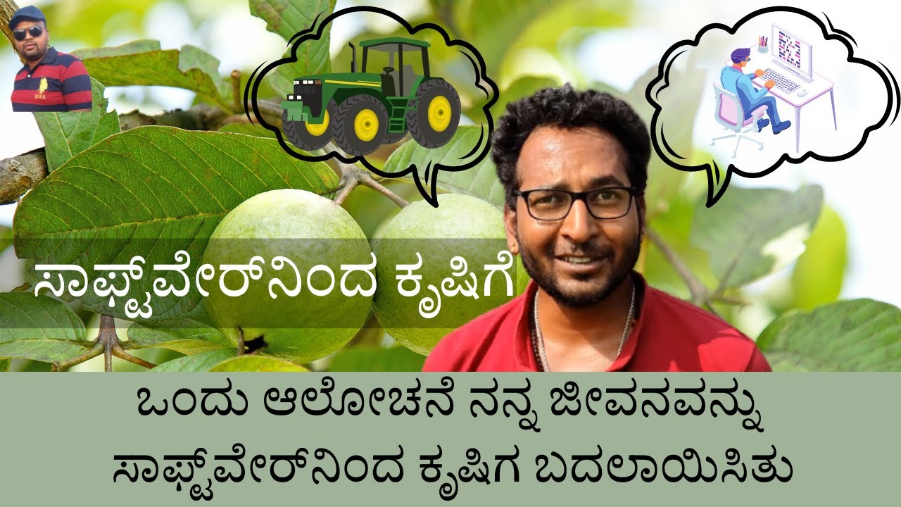 ಸೇಬೆ ಕೃಷಿ ಬೆಳೆದ ಸಾಫ್ಟ್ ವೇರ್ ಇಂಜಿನಿಯರ್ Guava farming by Software Engineer Mysuru Karnataka