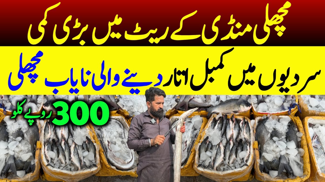 Biggest Fish Wholesale Market in Pakistan | New fish market Lahore / Fish  market  | Machli Mandi