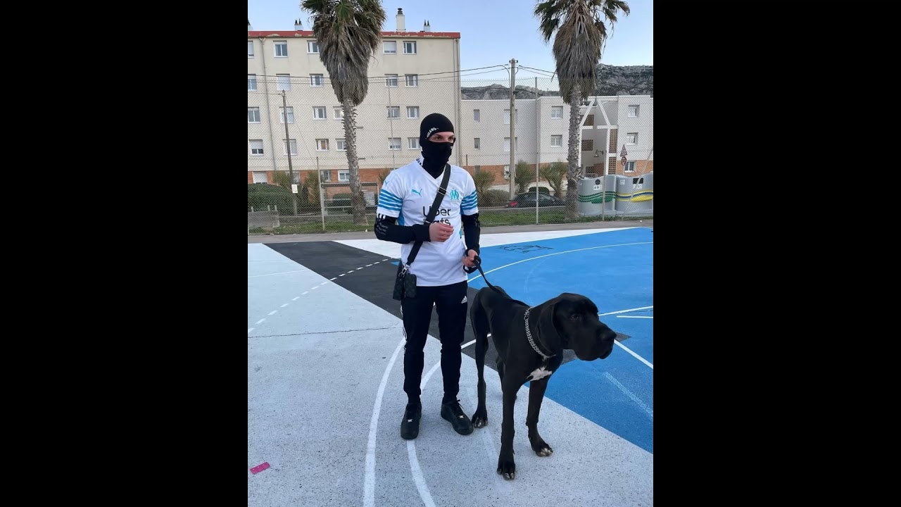 [FREE] 