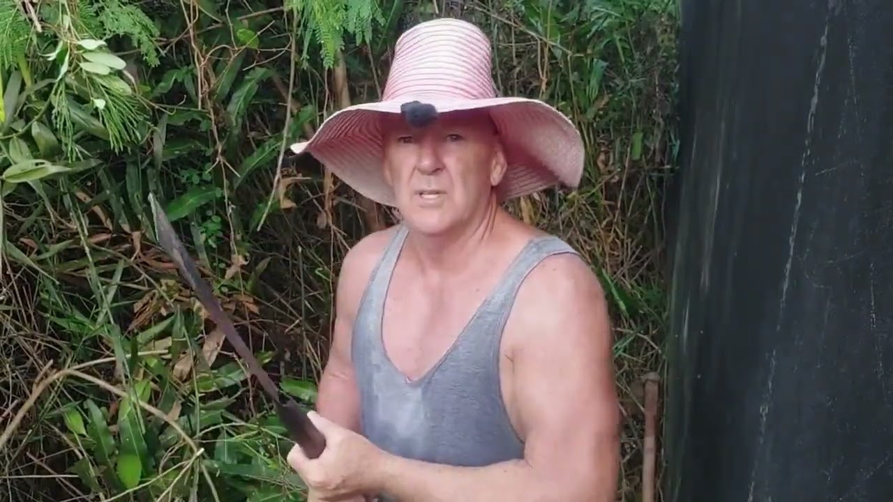 Going thru the gate, Vines, Audio cokups & a bad Rash in the back yard, Pak Phanang, Thailand