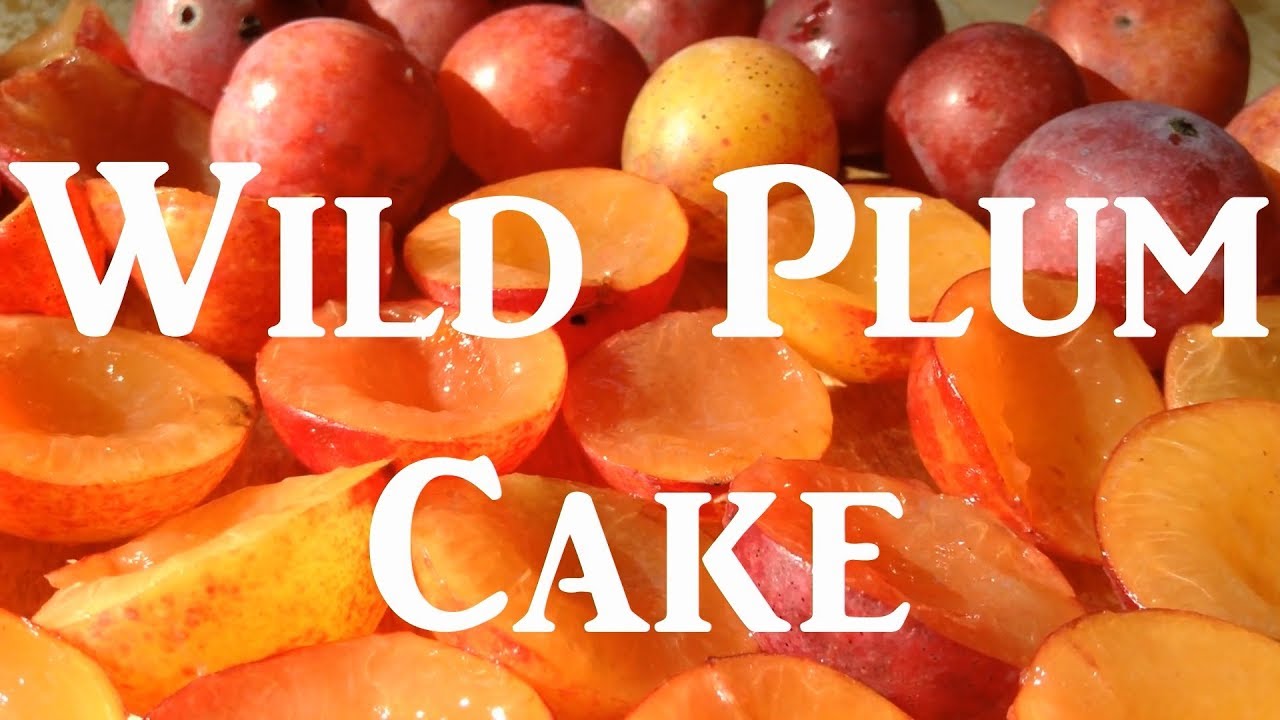 Wild Plum Cake with Plum Sauce & White Pine Tea