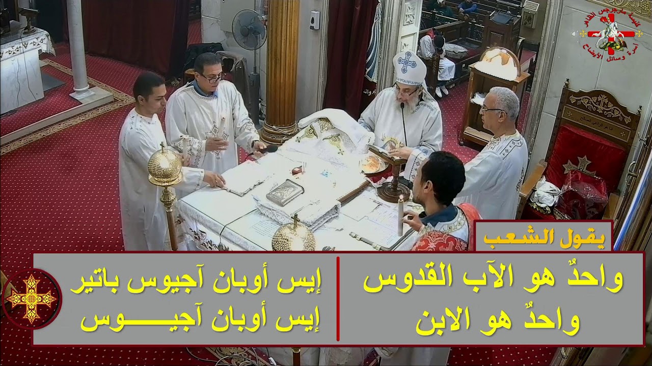 قداس الخميس وتذكارالدة الالهة القديسة العذراء مريم 29/1/2026- 21 طوبة 1742