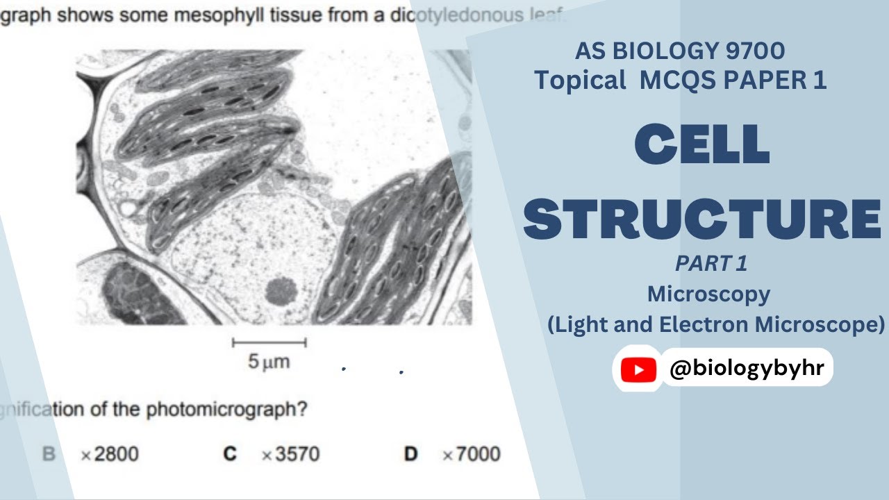 Cell Structure | Topical MCQs Paper 1 | Part 1 | AS BIOLOGY | 9700 | @biologybyhr
