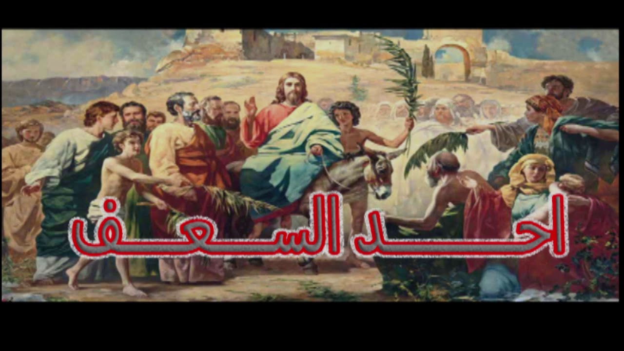 دروس من احد الشعانين.....ابونا بيشوي نجيب