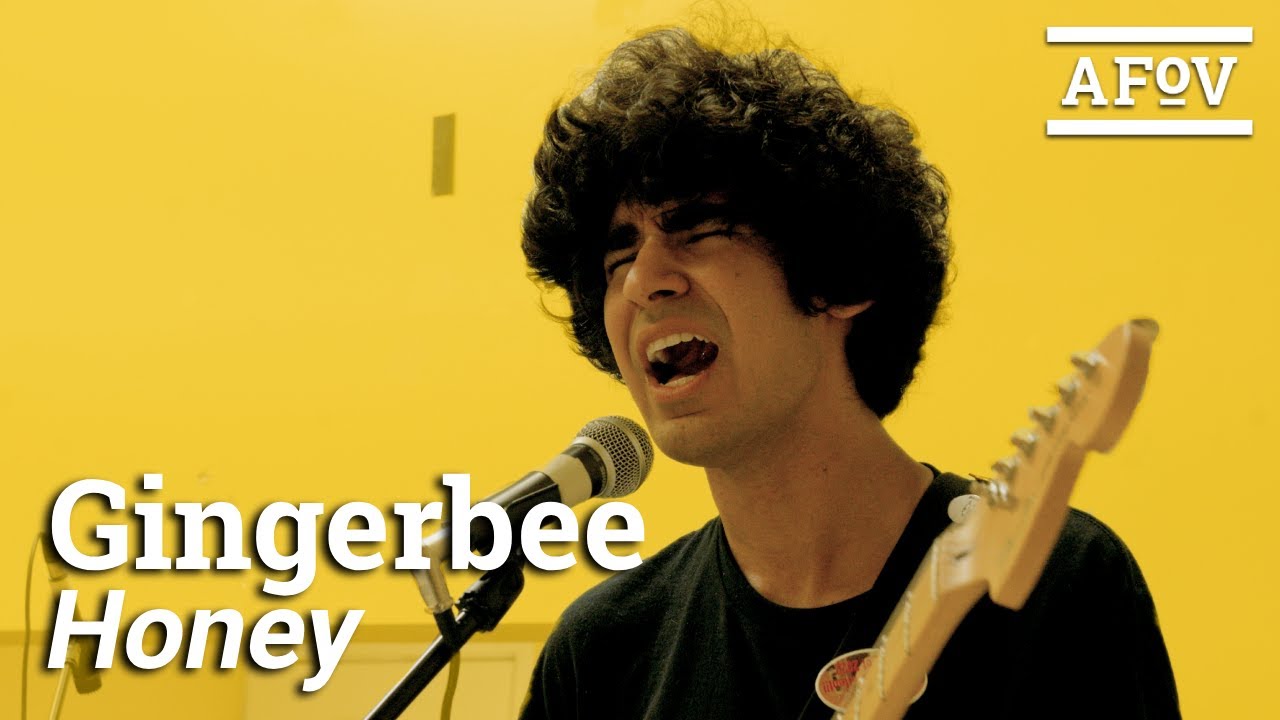 GINGERBEE - Honey | A Fistful of Vinyl