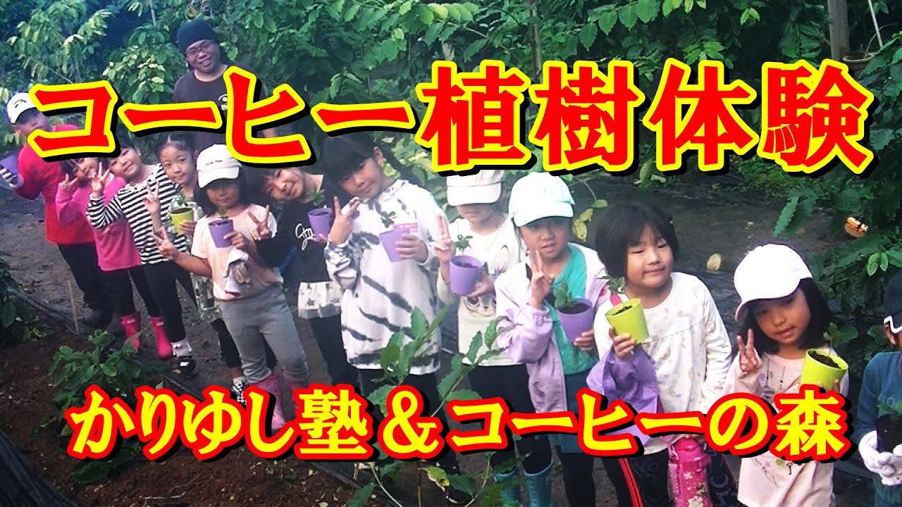 こどもコーヒー植えつけ体験（沖縄産コーヒー植樹イベント）
