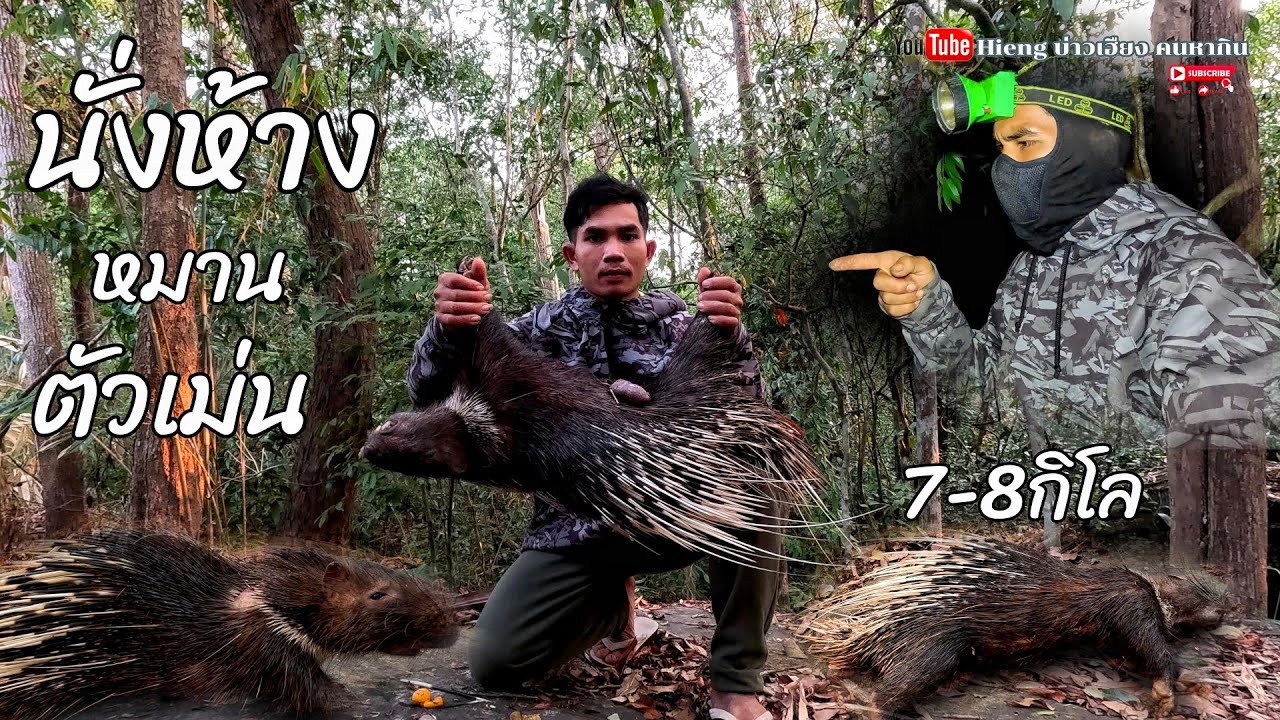 นั่งห้างหมานสัตว์ป่า//ນັ່ງຫ້າງຫມານສັດປ່າ Hieng บ่าวเฮียง คนหากิน