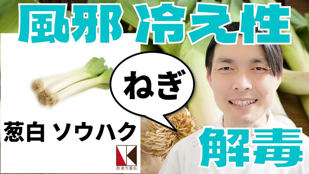 【漢方薬】葱白（ソウハク）１分で分かる生薬解説　～改訂版～