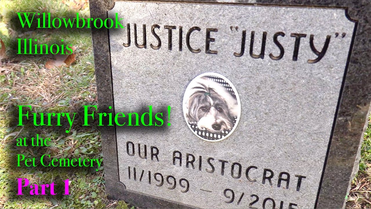 Furry Friends at the Hinsdale Pet Cemetery - PART 1 - CATS AND DOGS