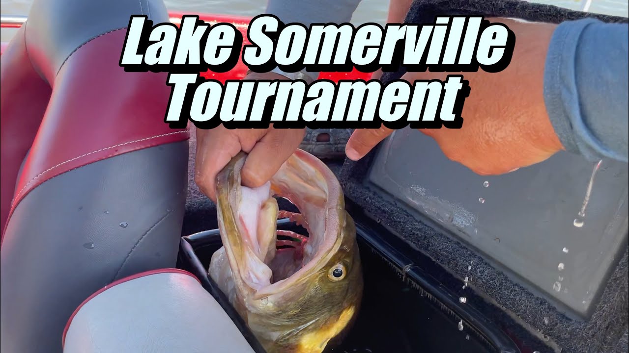 BIG FISH WERE CAUGHT on Lake Somerville! Luck of the Draw Tournament
