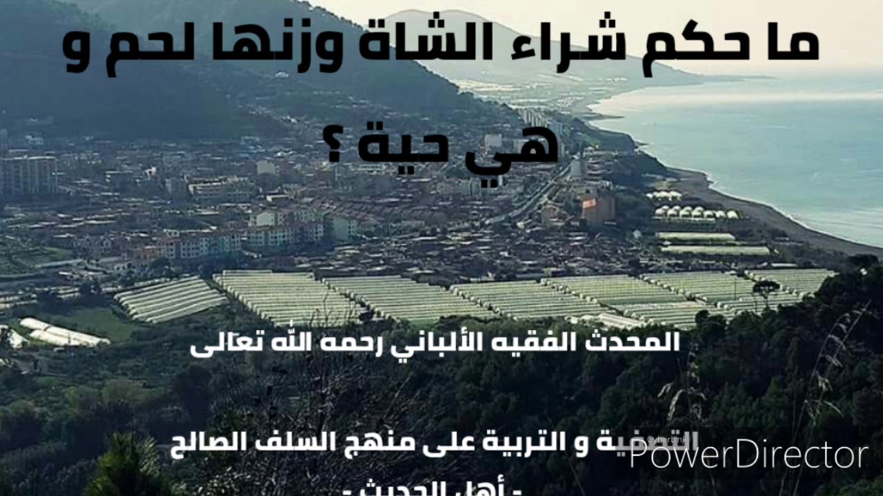 ما حكم شراء الشاة وزنها لحم و هي حية؟ . المحدث الفقيه الألباني رحمه الله تعالى