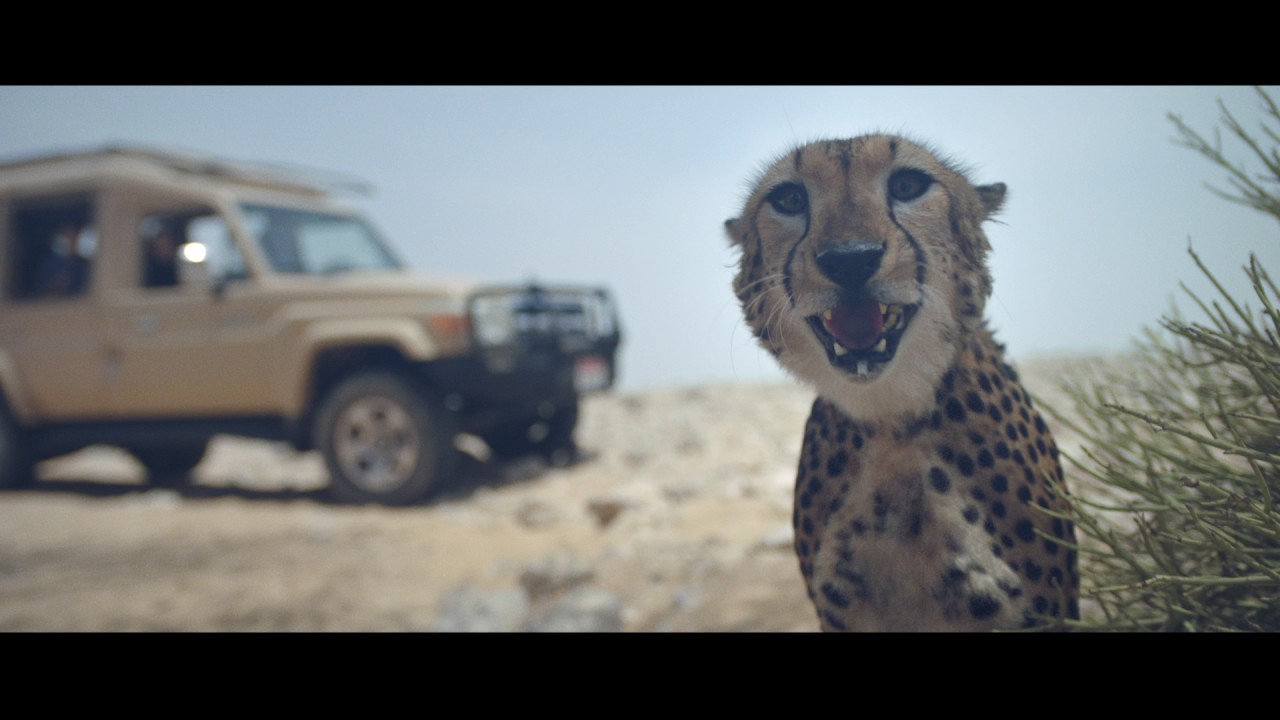 Abu Dhabi &ndash; Your Extraordinary Story