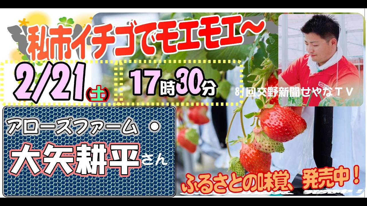 交野に新しい産業が発信！　ブランドイチゴ生まれる