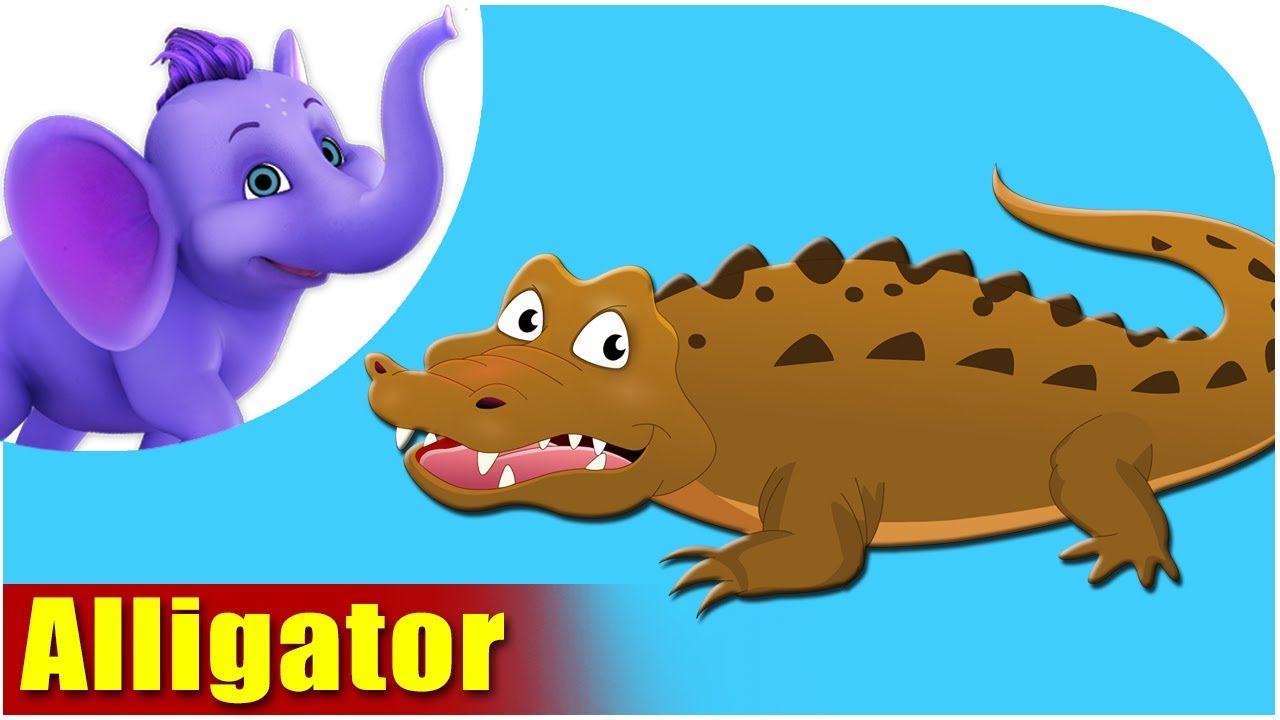 Alligator - Animal Rhymes in Ultra HD (4K)
