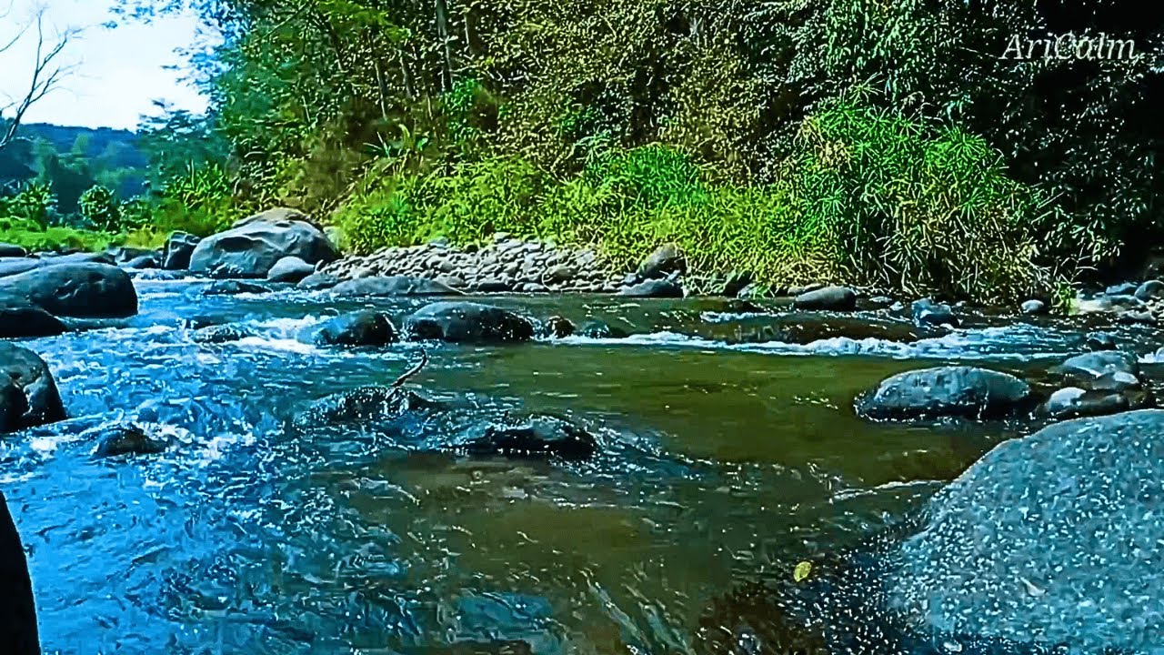 RELAXING RIVER SOUNDS FOR SLEEPING – GENTLE FLOW IN CALM FOREST STREAM TO IMPROVE REST #25