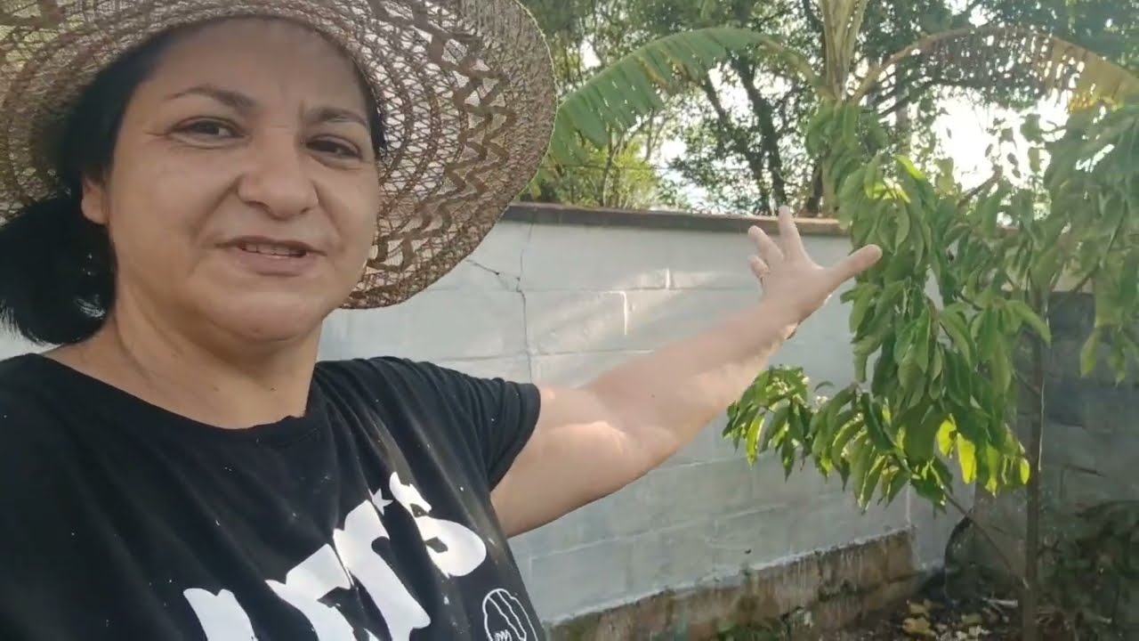 Pintura do muro com cal hidratado 