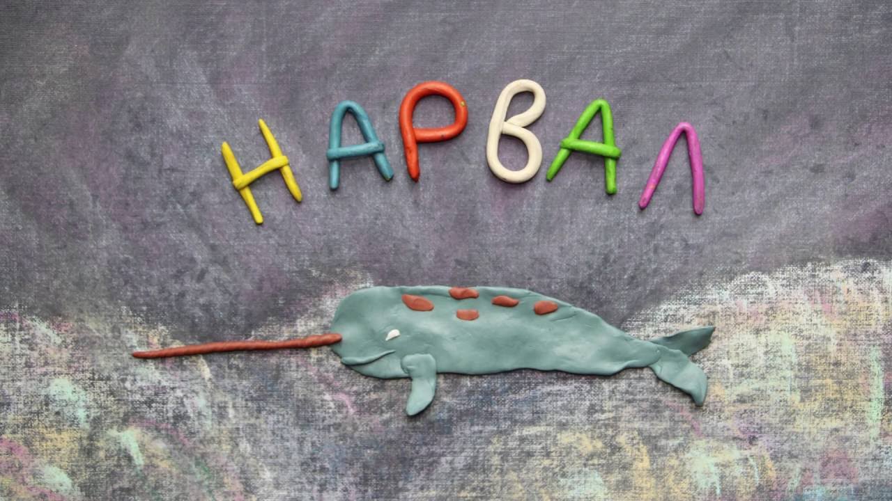 Нарвал. Пластилиновый познавательный мультфильм. Monodon monoceros. Plasticine Animation.