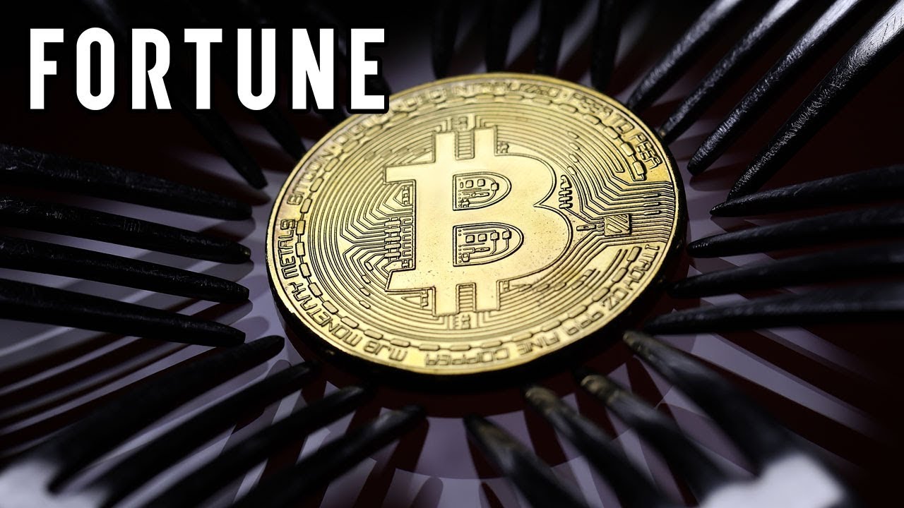 Bitcoin: How Much You Could Have Lost I Fortune