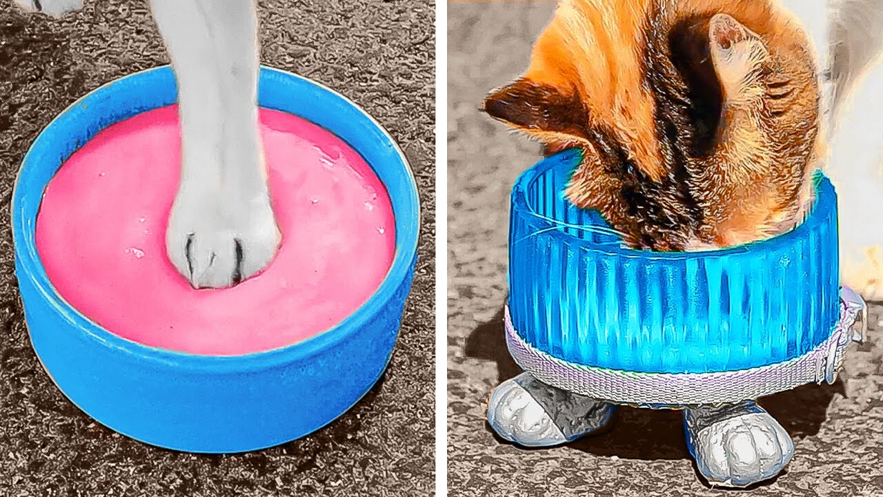 Cute And Useful Crafts For Your Pets