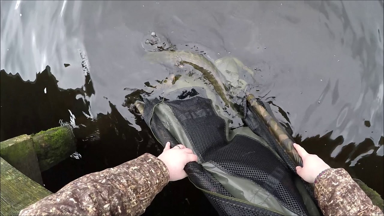 Pike Fishing Upper Lough Erne 26 Jan 2019