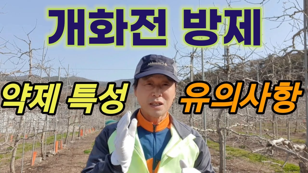 사과 개화전 방제 약제 특성 및 살포시 유의사항 (석회보르도액, 모스피란, 칼립소, 트리후민, 히든키, 세리펠 등)