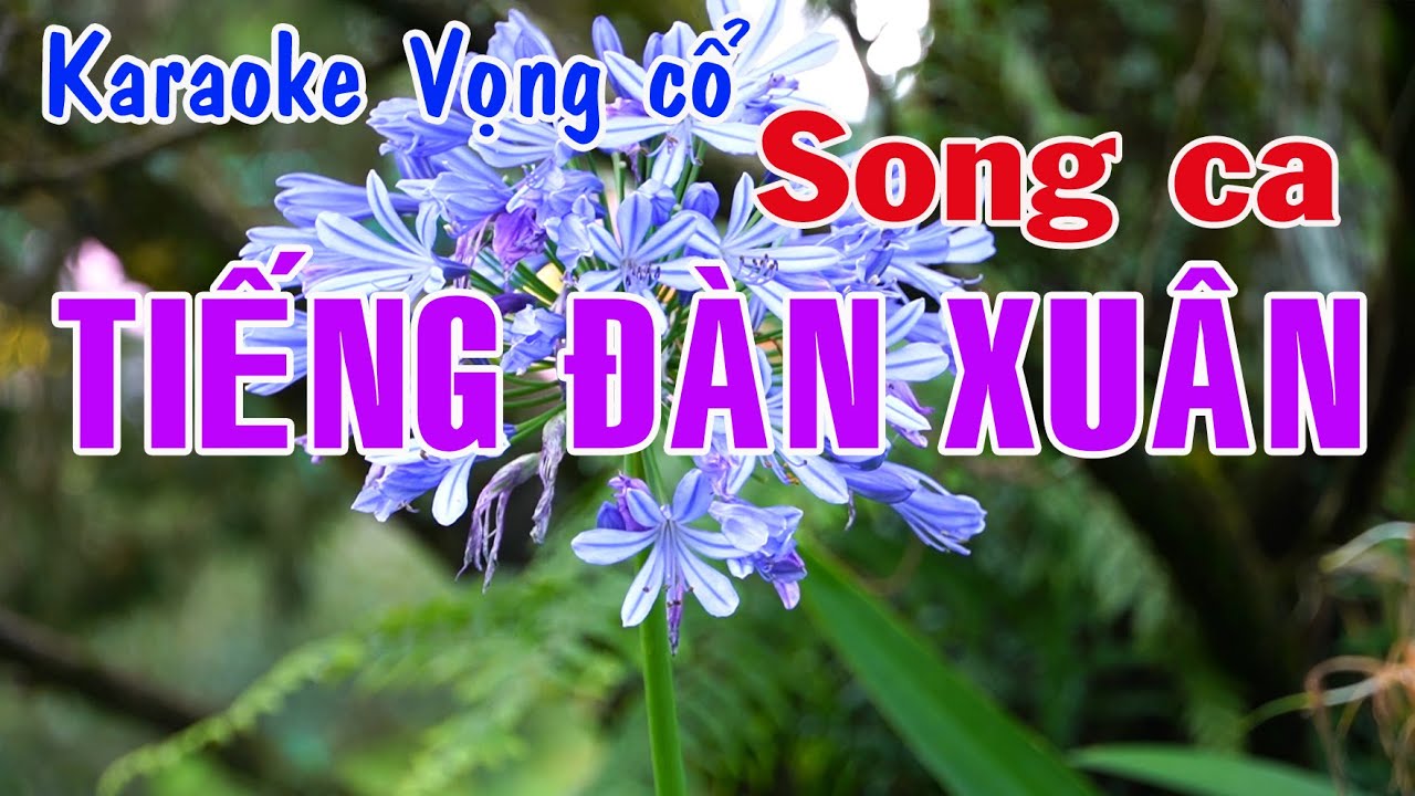 Karaoke vọng cổ TIẾNG ĐÀN XUÂN - SONG CA