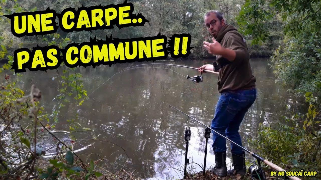 Une carpe.. pas commune!!